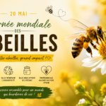 Journée mondiale des abeilles | 20 mai